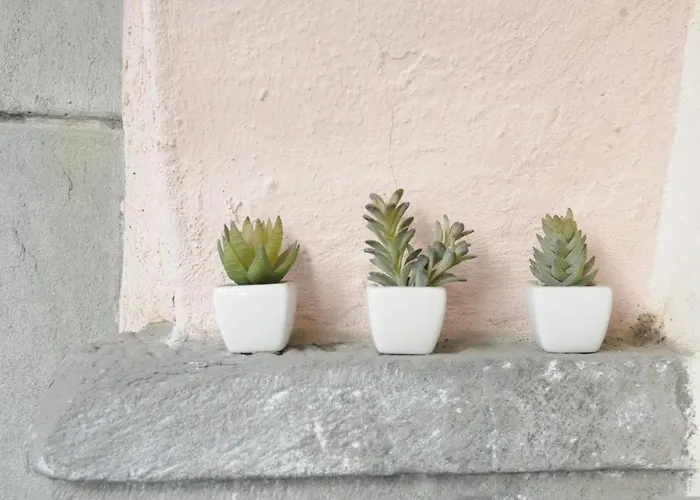 St. George Apartament *